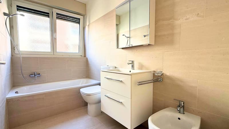BRIGHT APARTMENT IN VIGANELLO (6)