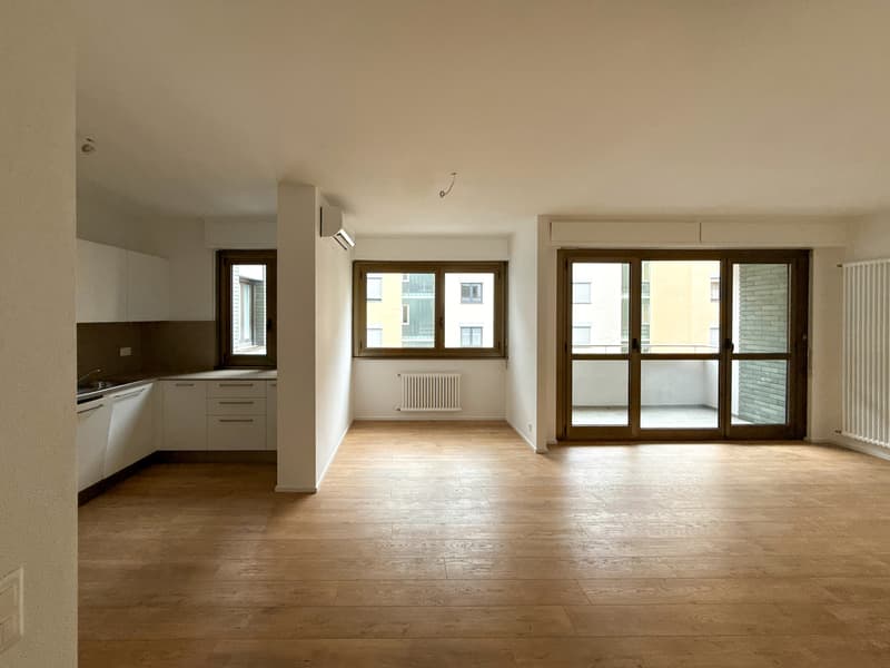 2.5 rooms apartment renovated in Cassarate (3)