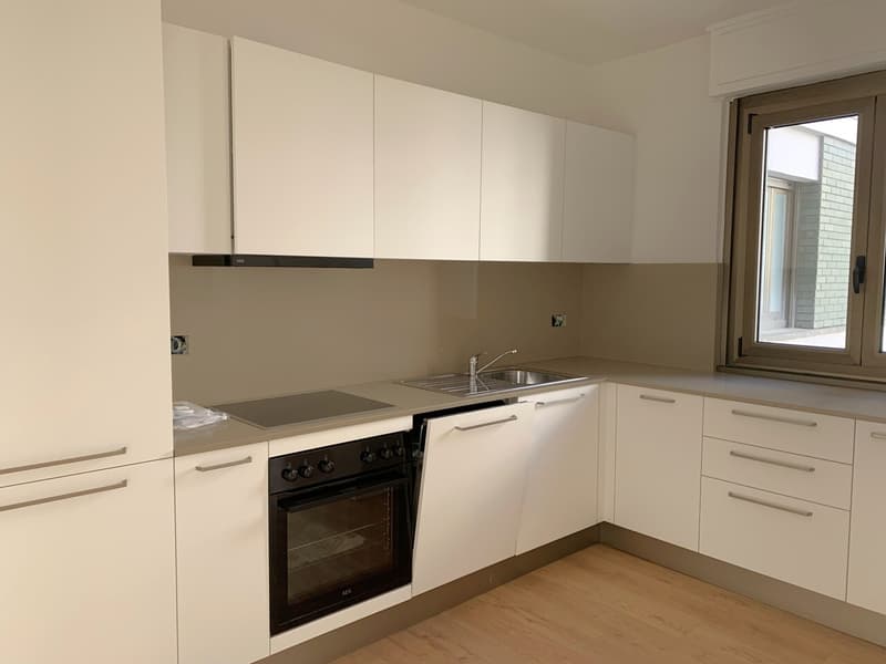2.5 rooms apartment renovated in Cassarate (2)