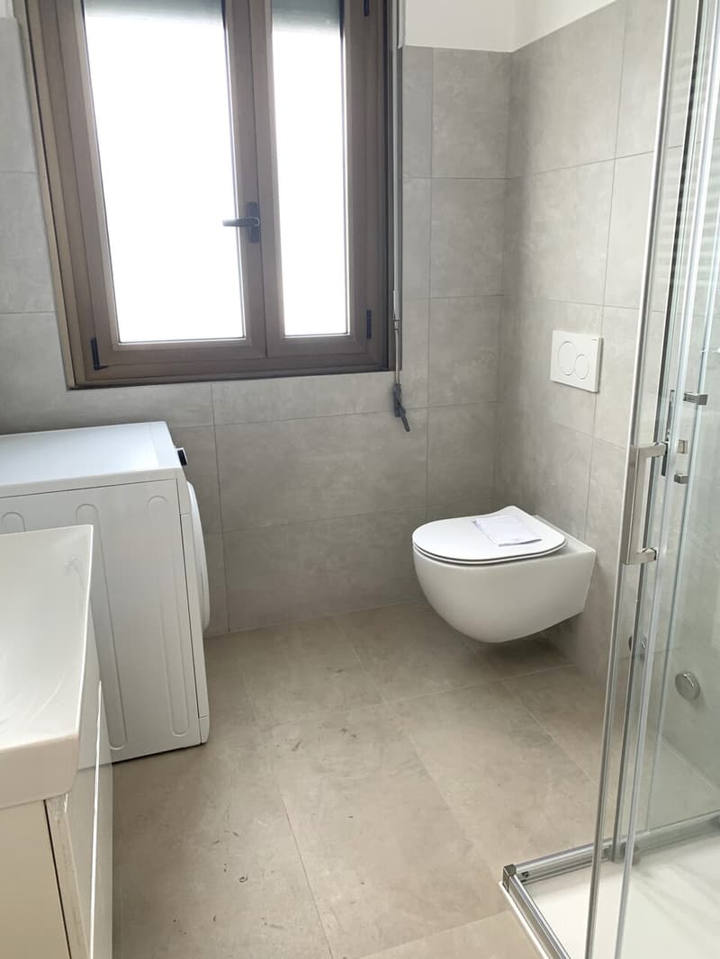 2.5 rooms apartment renovated in Cassarate (8)