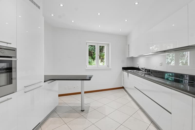 Residenza Diana: Elegante attico con giardino, piscina e vista lago (12)