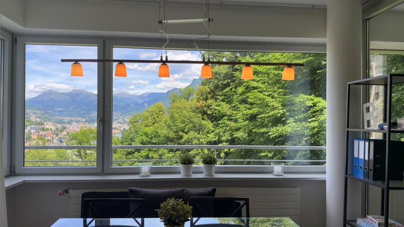 Luminoso 3.5 locali all'interno della Torre Beta (9)