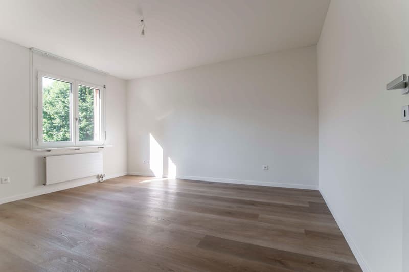 Exklusives 3.5-Zimmer-Wohnung in Breganzona, renoviert mit hochwertigen Ausstattungen (7)