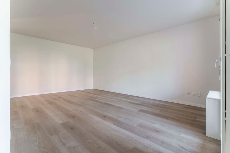 Exklusives 3.5-Zimmer-Wohnung in Breganzona, renoviert mit hochwertigen Ausstattungen (9)