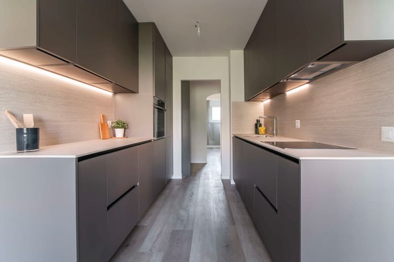 Exklusives 3.5-Zimmer-Wohnung in Breganzona, renoviert mit hochwertigen Ausstattungen (2)
