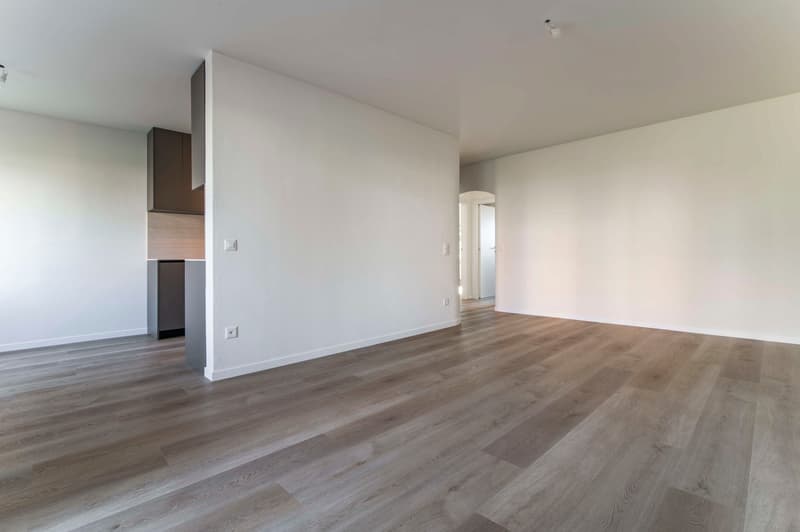 Exklusives 3.5-Zimmer-Wohnung in Breganzona, renoviert mit hochwertigen Ausstattungen (3)