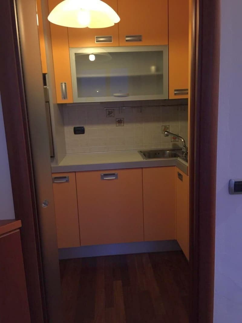 Lakeview pied-à-terre with garden and condominium pool (4)