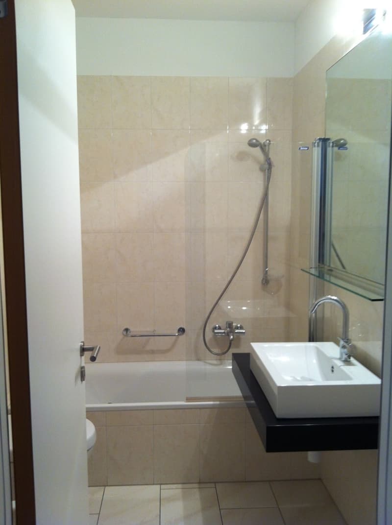 RESIDENZA CASPI 3.5 LOCALI LUGANO (5)