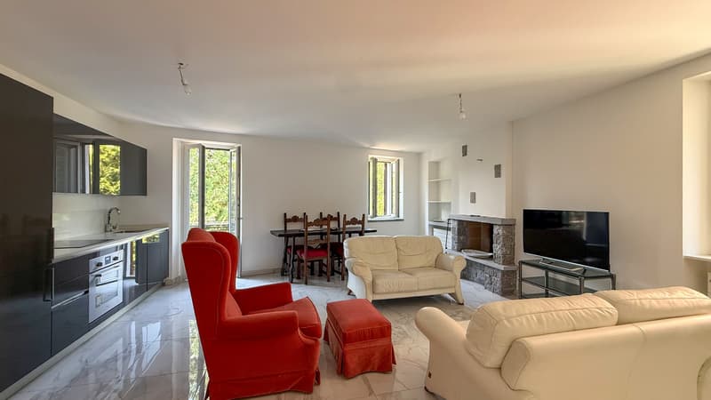 Accogliente 2.5 locali arredato Cassarate (2)