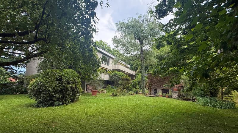 3,5 Lokale im Grünen (12)