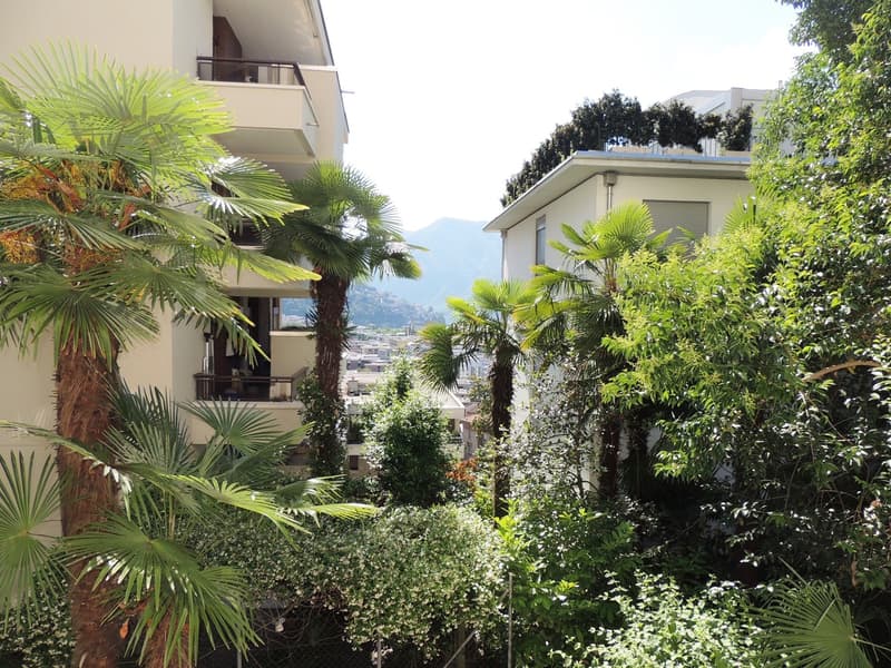 Monolocale nella Residenza Parco Maraini (1)