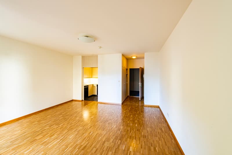 Monolocale nella Residenza Parco Maraini (7)