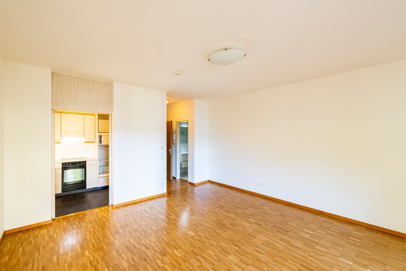 Monolocale nella Residenza Parco Maraini (8)