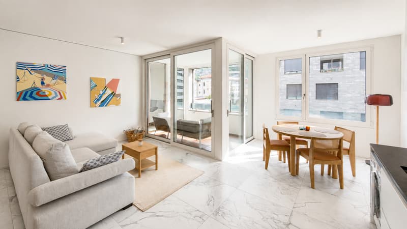 Elegante appartamento di 3.5 locali a pochi passi dal lago (2)