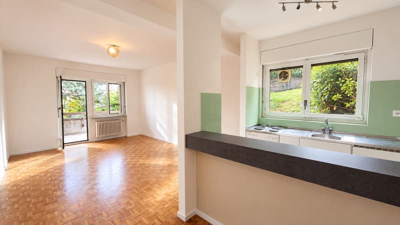 ACCOGLIENTE 2.5 LOCALI CON GIARDINO (4)