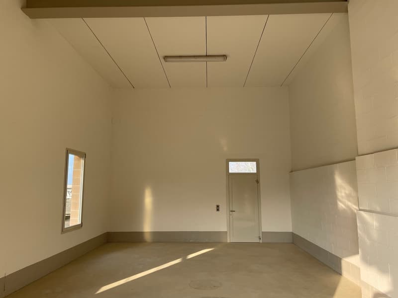 SPAZIO COMMERCIALE A GENESTRERIO (1)
