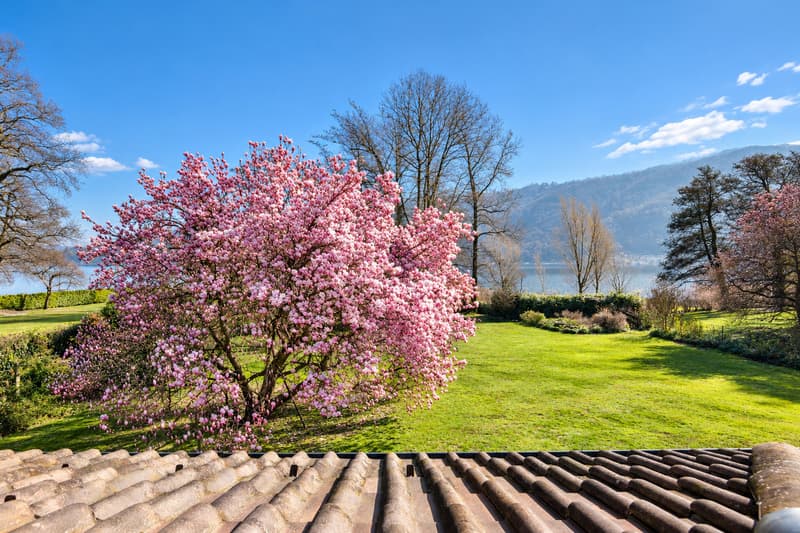 Villa Magnolia: Splendida villa fronte lago a Magliaso (7)