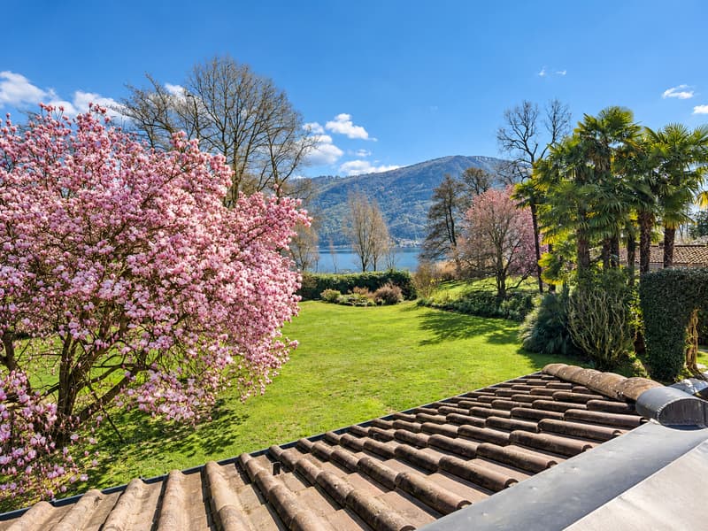 Villa Magnolia: Splendida villa fronte lago a Magliaso (4)