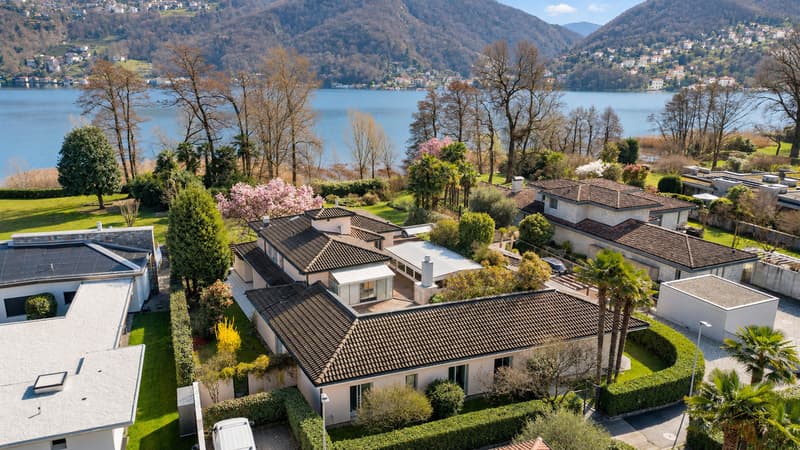 Villa Magnolia: Splendida villa fronte lago a Magliaso (5)
