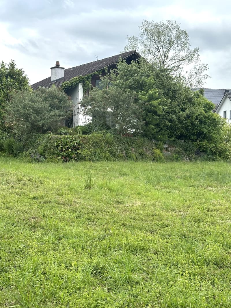 Einfamilienhaus hinter Hecken
