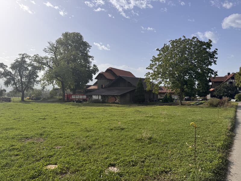 Umgebung