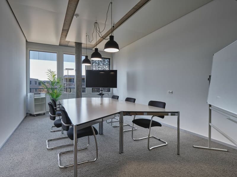 Ihr Arbeitsplatz in der Suurstoffi - Modernes Einzelbüro (5)