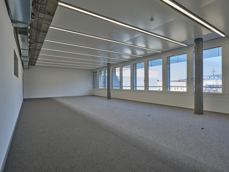 Ihr Arbeitsplatz in der Suurstoffi - Modernes Einzelbüro (2)