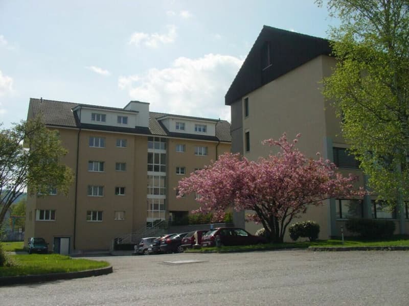 Outdoor parking space in Rotkreuz (1)