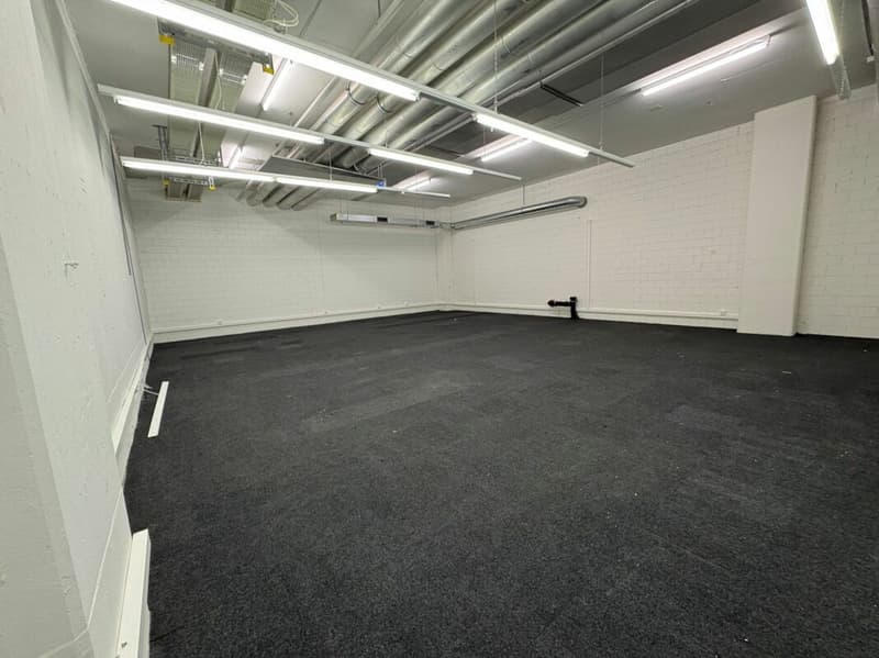 Generous storage space in the center of Zug (3)
