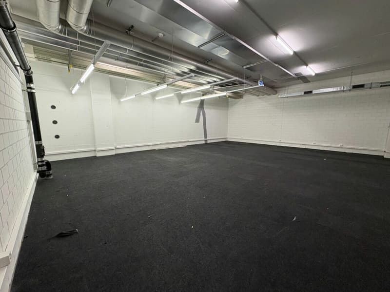 Generous storage space in the center of Zug (2)