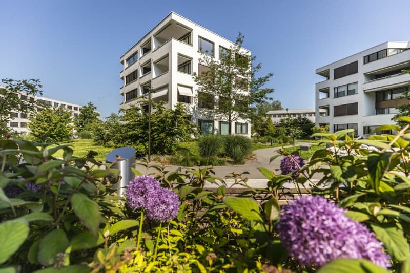 Flexible Büro- und Gewerbeflächen mit Vormieterausbau in Rotkreuz (10)