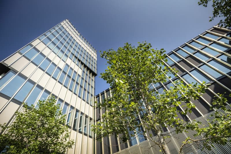 Flexible Büro- und Gewerbeflächen mit Vormieterausbau in Rotkreuz (12)
