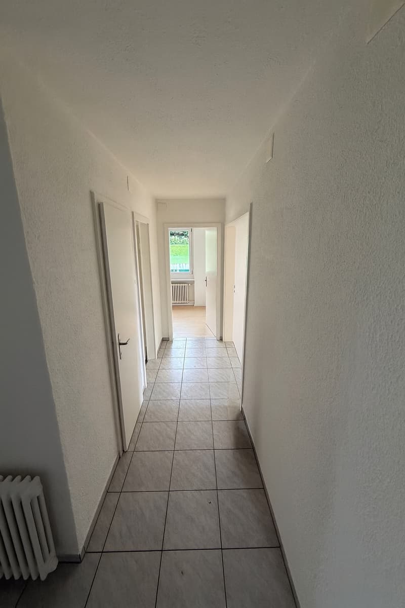 Nous louons un joli appartement de 4,0 pièces à Rorschach immédiatement ou sur arrangement (2)