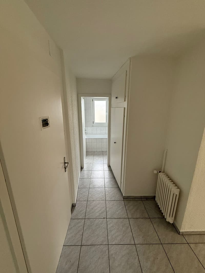 Nous louons un joli appartement de 4,0 pièces à Rorschach immédiatement ou sur arrangement (3)