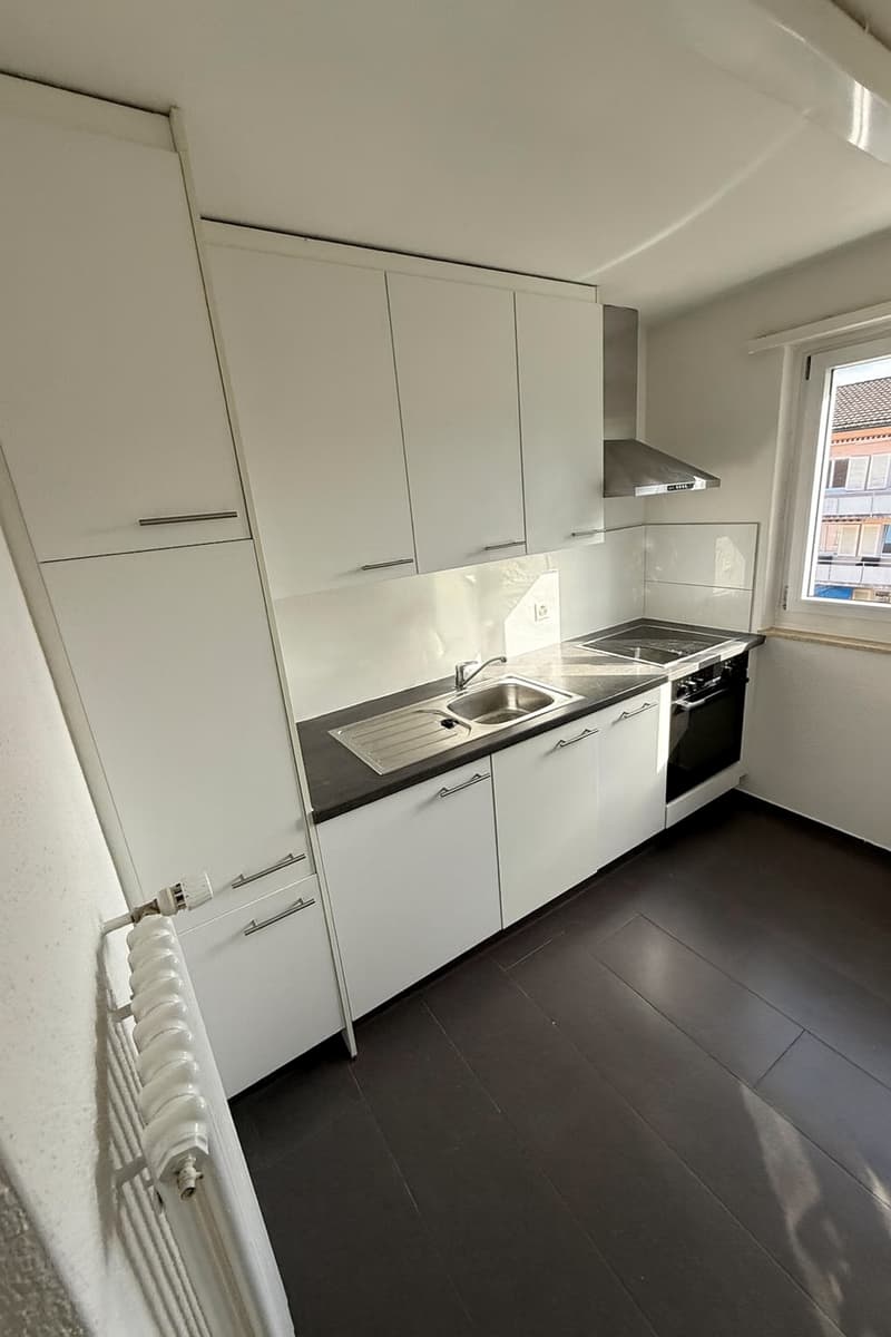Nous louons un joli appartement de 4,0 pièces à Rorschach immédiatement ou sur arrangement (8)