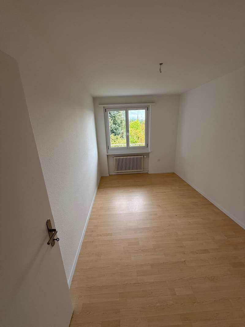 Nous louons un joli appartement de 4,0 pièces à Rorschach immédiatement ou sur arrangement (5)