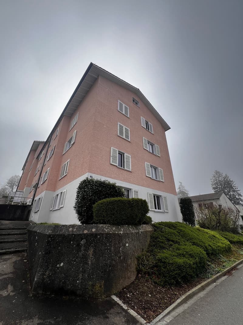 Nous louons un joli appartement de 4,0 pièces à Rorschach immédiatement ou sur arrangement (1)