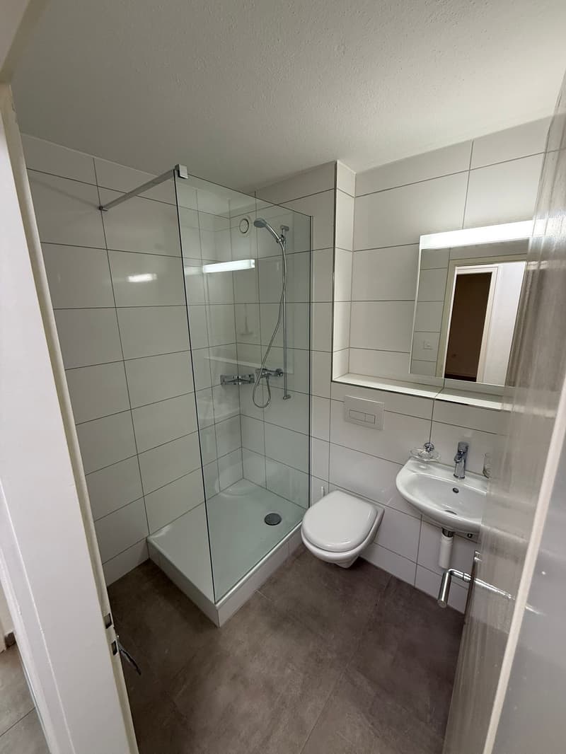 Bello appartamento 2.0 locali a St. Gallen (5)