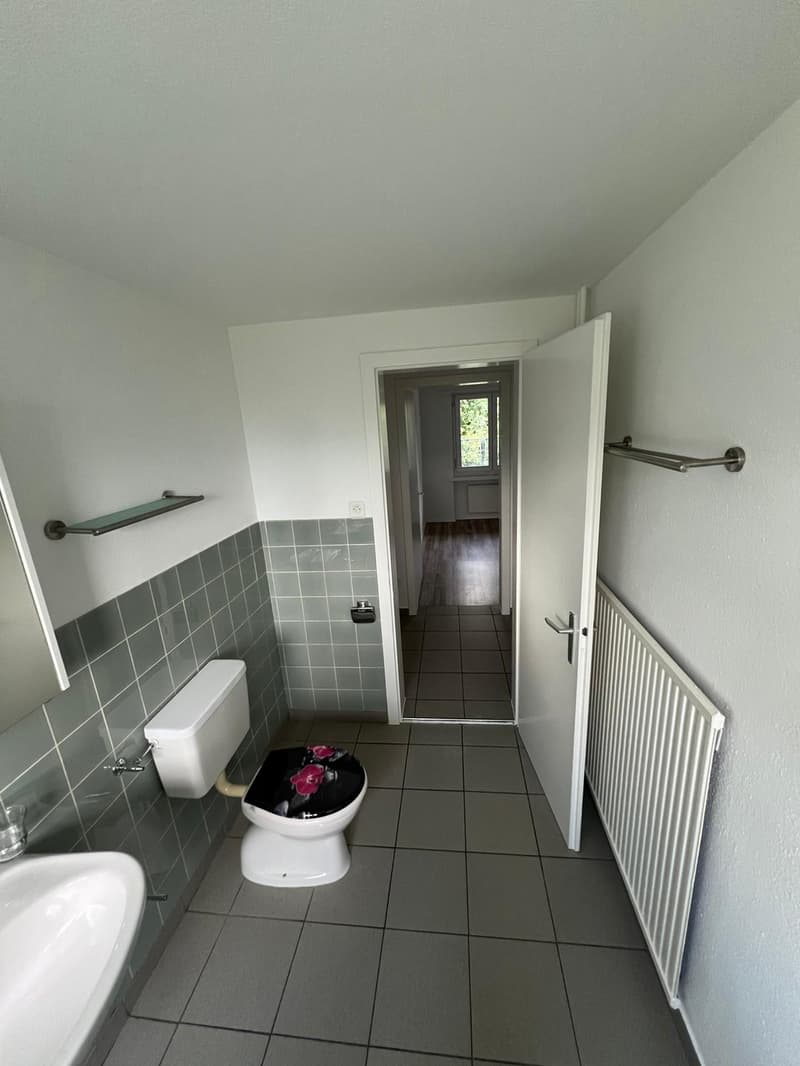 Appartement attractif de 4,5 pièces à louer à Sevelen ! (6)