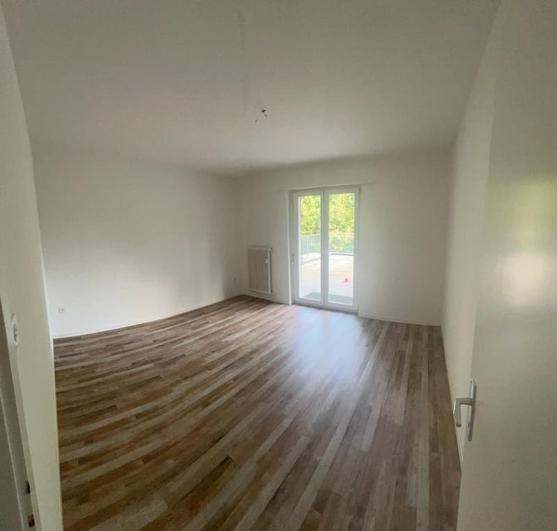 Appartement attractif de 4,5 pièces à louer à Sevelen ! (14)