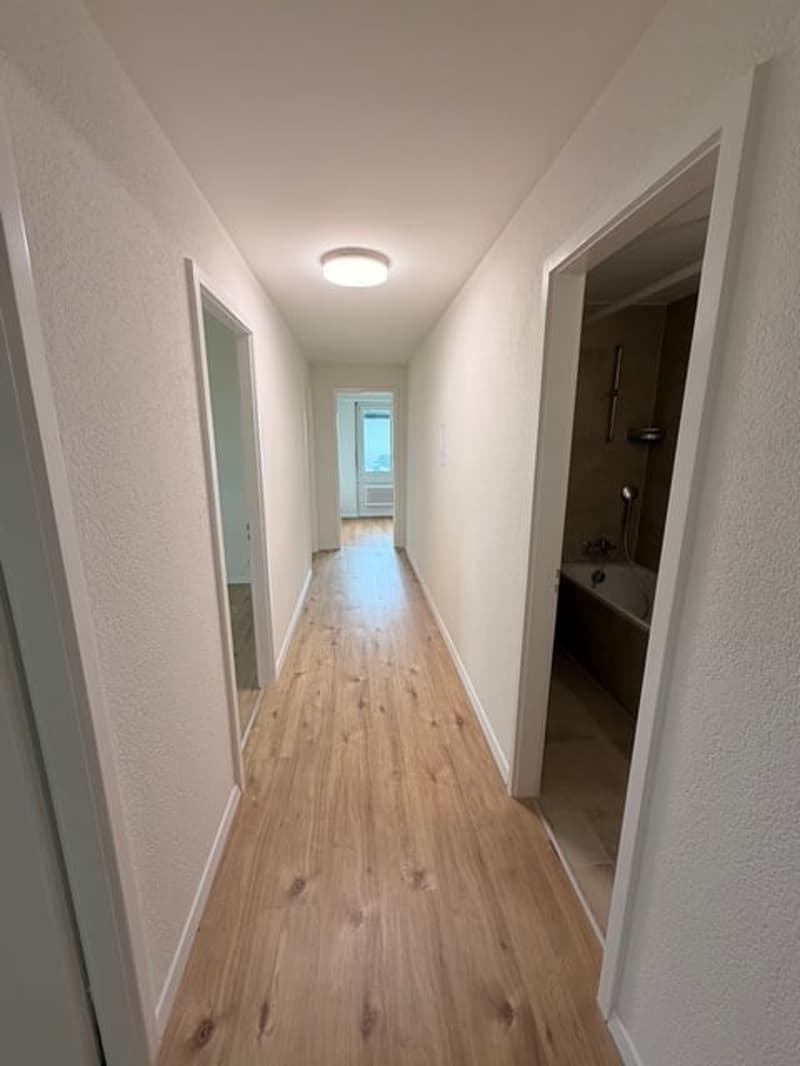 First rental after renovation – Modern 4.5-room apartment in Trimbach (2)