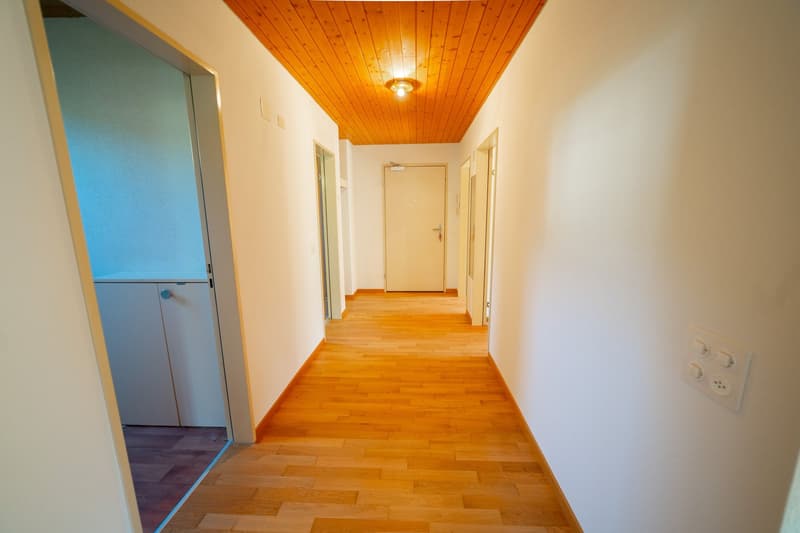 Bright 3.5-room apartment in a green area in Thalheim (12)