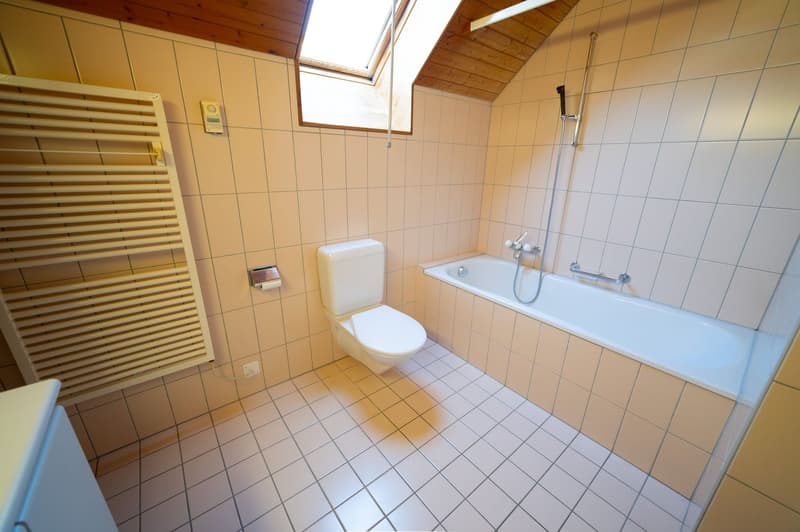 Bright 3.5-room apartment in a green area in Thalheim (11)