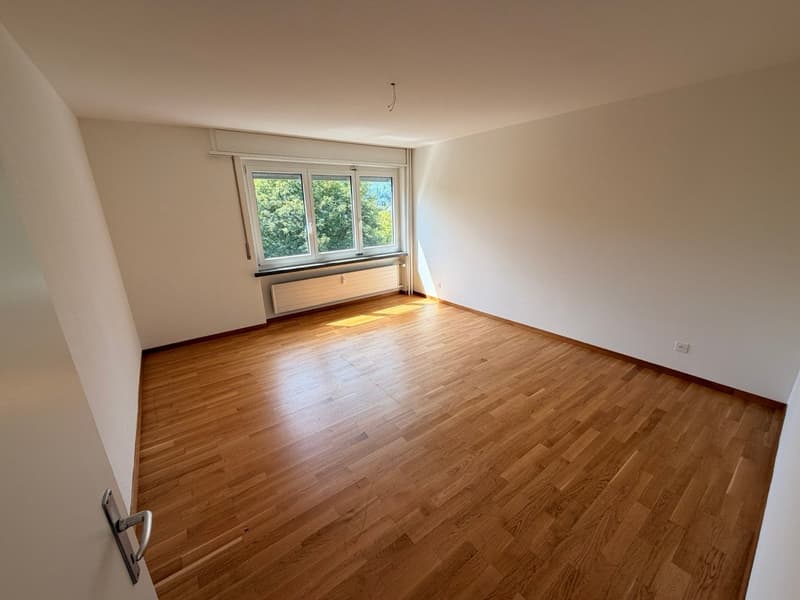 Bright 3.5-room apartment with balcony and beautiful view in Buchs (4)