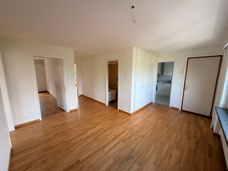 Bright 3.5-room apartment with balcony and beautiful view in Buchs (5)