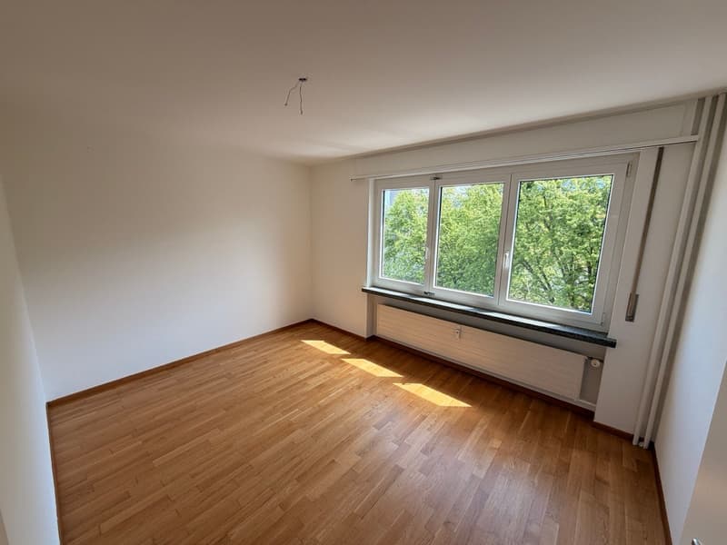 Bright 3.5-room apartment with balcony and beautiful view in Buchs (2)