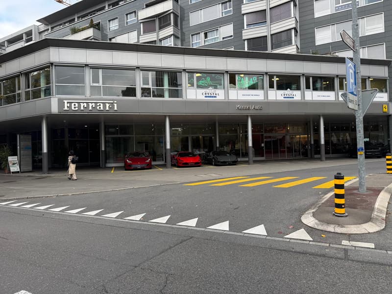 Spaziosa area showroom a Zug (2)