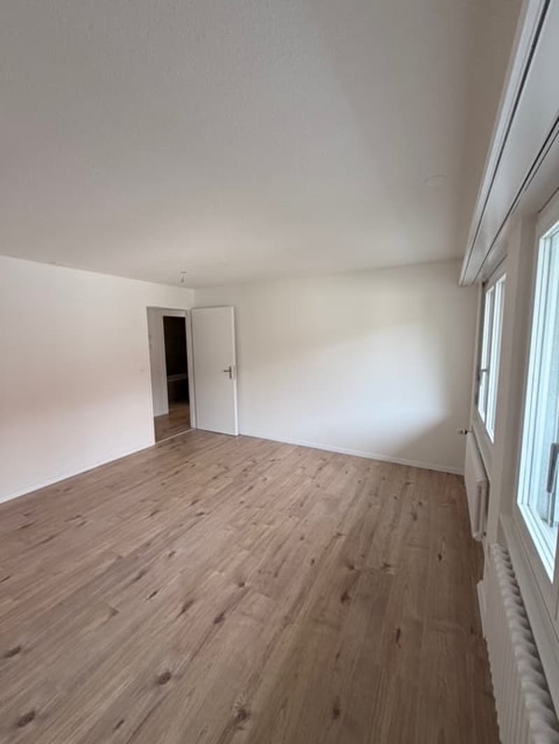 Erstvermietung nach Renovierung – Moderne 3.5-Zimmerwohnung in Trimbach (3)