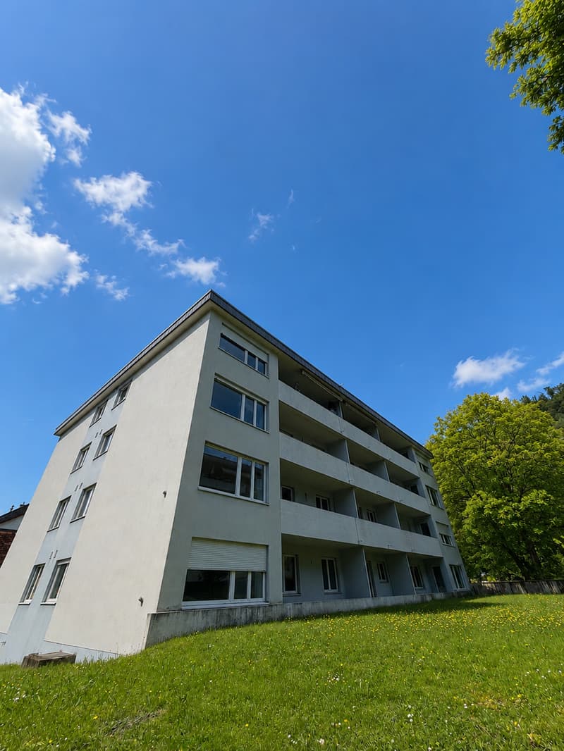 Erstvermietung nach Renovierung – Moderne 4.5-Zimmerwohnung in Trimbach (1)