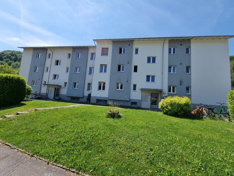 Helle 3.5 Zimmer Wohnung in Trimbach (1)
